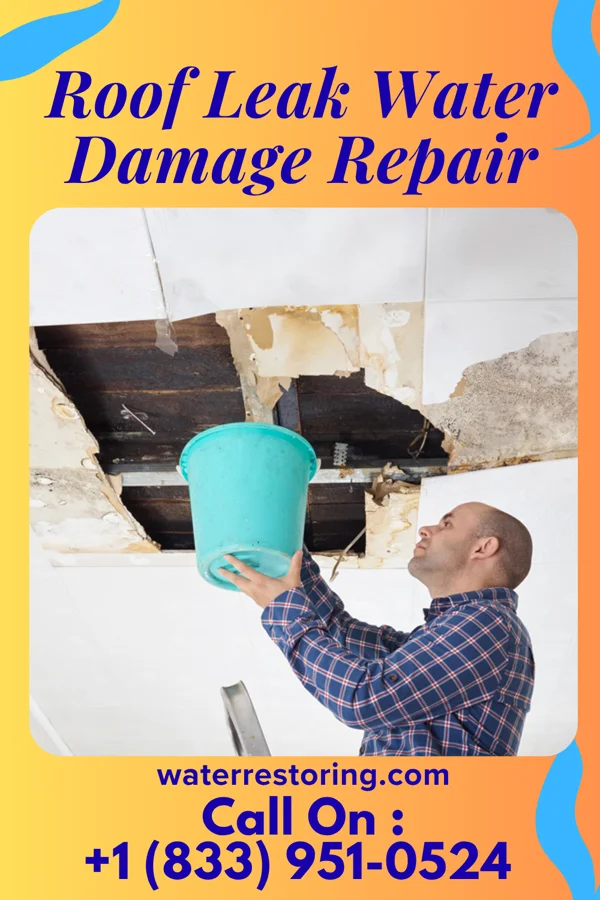 Roof Leak Water Damage Repair in Sunrise Manor, NV