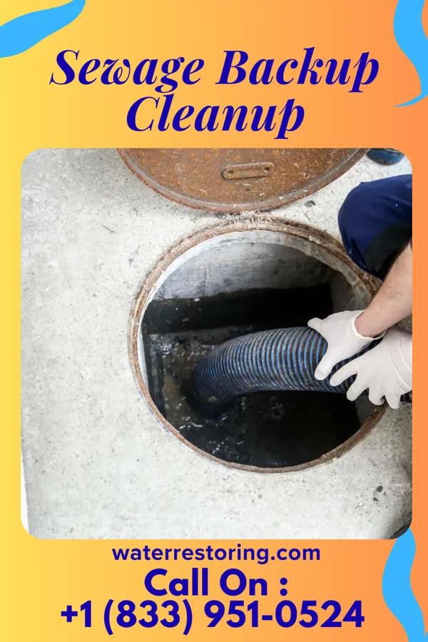 Sewage Backup Cleanup in Sunrise Manor, NV